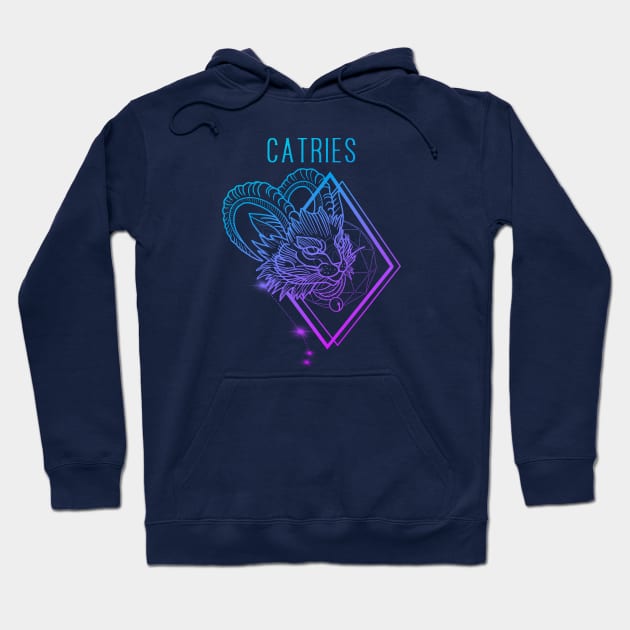 Aesthetic zodiac cattery: Aries Hoodie by Blacklinesw9